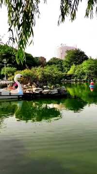 来微视，玩转互动视频。