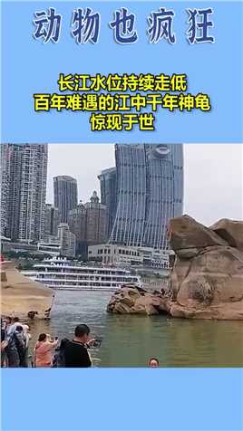 来微视，玩转互动视频。