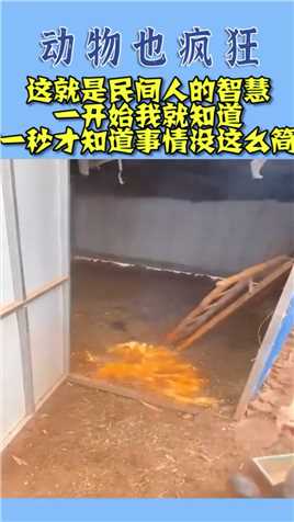 没那么简单