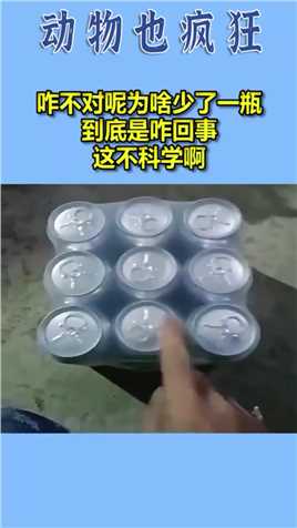 这不科学啊