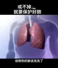 戒不掉烟 就要保护好肺