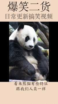 看来熊猫有些特征跟我们人类是一样的！视频有点污哈哈哈