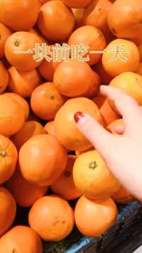 教你用橙子吃一天