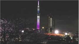 樱花下的东京,夜晚的晴空塔,期待来年春天再次相遇