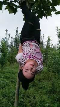 农村小姑娘厉害了，在树上挂着倒立，很有想法的锻炼方式