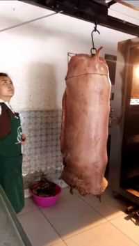 人生路，每一段都是领悟！回望当年，有值得我坚持的观点、思维。也有值得我深思的缺点，一路走来，每一步都是最真实最有效的教材