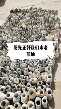 今年的春天来的很突然，天气明媚，阳光灿烂。新年伊始，不负好时光，你 我 他 加油吧！