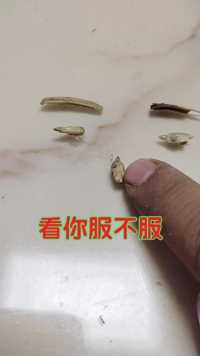 一个很好玩儿的特效道具视频带给大家，欢迎光临我的主页观看。石头加工各种石艺品，喜欢的关注