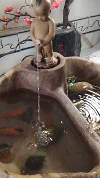 石头鱼缸循环流水，鱼龟一体缸。