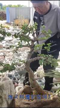 又是一位钟情石头工艺的人，既有自己的风格与看法，还有一颗爽快的心。你有情来我有意，商道酬信，诚信共赢。