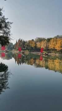 季节进入初冬，桂湖才染秋色。