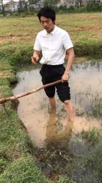 掘地三尺也得把你们都挖出来！