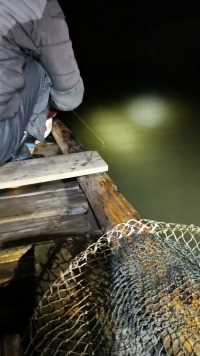 又是大丰收的一天！