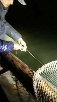 有喜欢钓鱼的朋友吗？