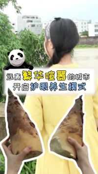 吃货们注意！一年一度的全笋宴来了  