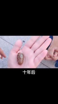 最有出息的孩子出自这几种家庭。