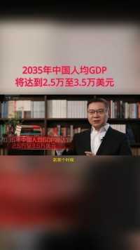 张维为：预计2035年中国人均GDP将达到2.5万至3.5万美元。