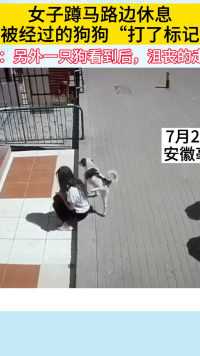 女子蹲马路边休息，竟被经过的狗狗尿了一身……
