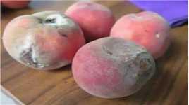 烂掉的桃子一个也别扔，还有3个妙用，花钱也不好买，快叮嘱家人