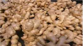 今天才知道，这种生姜不能买，菜贩子从来不吃，看完叮嘱家人