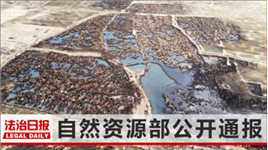 黑龙江五常黑土被盗挖，有人高价求土：1万立方米黑土达150多万元