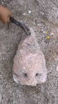 一锤子砸开石头，没想到里面竟然是这个，这是要发财的节奏啊！