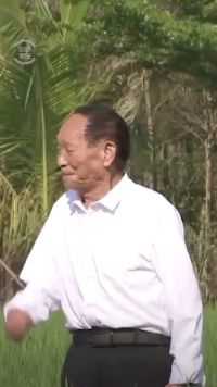 相比我主页里的明星，这才是最耀眼的一颗星，水稻之父袁隆平 ，今天是他农历90岁生日，还奔波在田野里，生日快乐