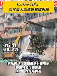 10日上午，武汉市最大的单体违建建筑物，财源商贸大楼被依法拆除。