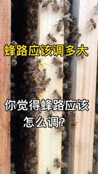 蜜蜂的蜂路应该怎么调？
