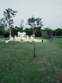 潘虎在安庆双拥公园遛狗25，2020.9.6