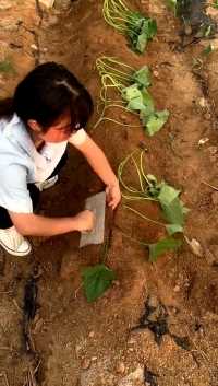 来微视，玩转互动视频。