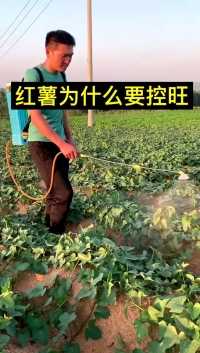 来微视，玩转互动视频。