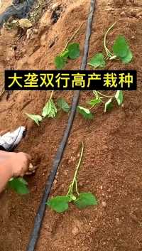 来微视，玩转互动视频。