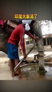 大象渴了想喝水，村名用水井为它打水，地位真是太高了