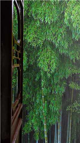 竹海惹了细雨，浓墨惹了相思。竹林听雨，品一种静，享一时闲暇，得一片悠然清绝... #竹林#下雨天 #风景